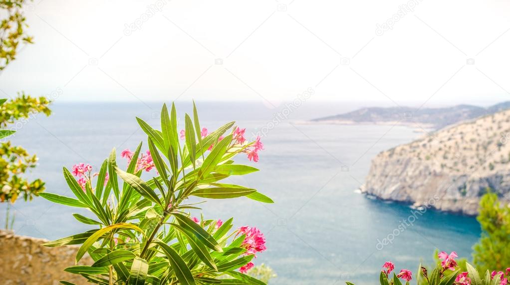 Beautiful sea and gulf view on a sunny summer day