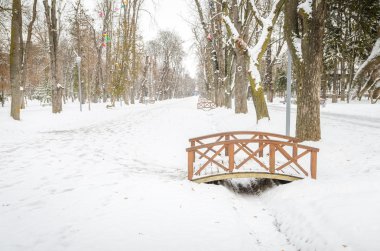 Central Park in Cluj Napoca
