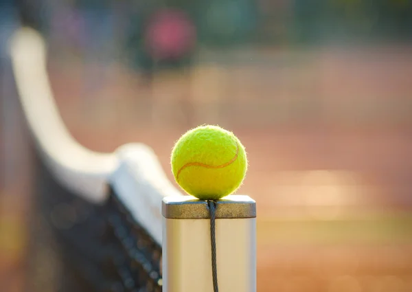 Тенісний м'яч на сітці — стокове фото