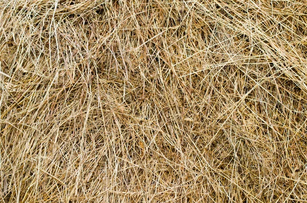 Hay stack texture — Stock Photo, Image