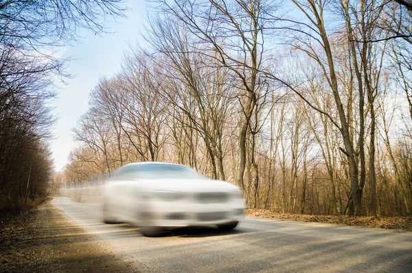 El exceso de velocidad del coche en el bosque — Foto de Stock