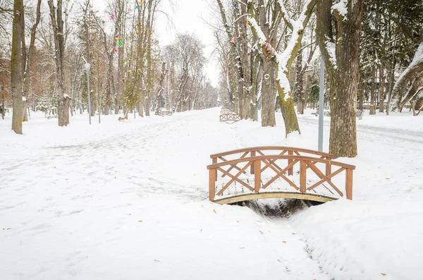 Central Park in Cluj Napoca Obrazek Stockowy