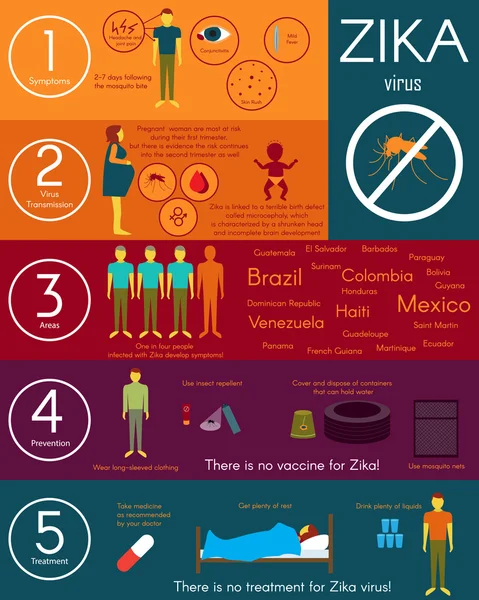 Zika virüs Infographic