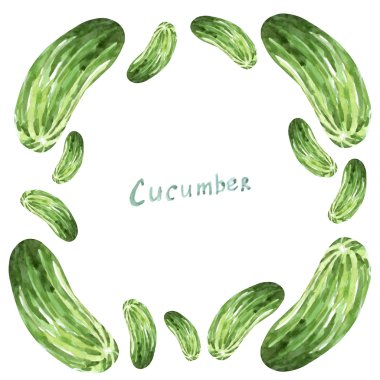 Suluboya salatalık çerçeve