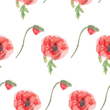 Suluboya çiçek haşhaş