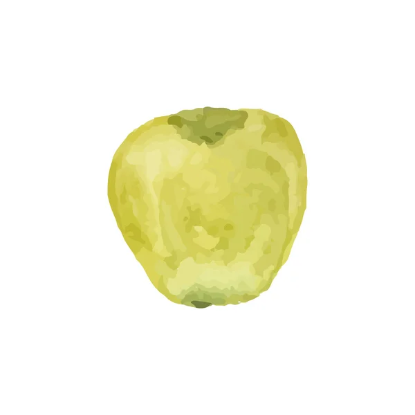 Acuarela manzana — Vector de stock