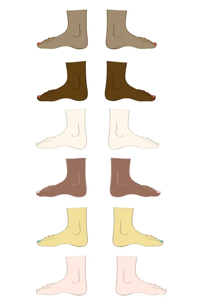 Feet in vector — Stock Vector