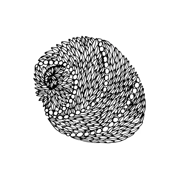 Coquille de mer en vecteur — Image vectorielle