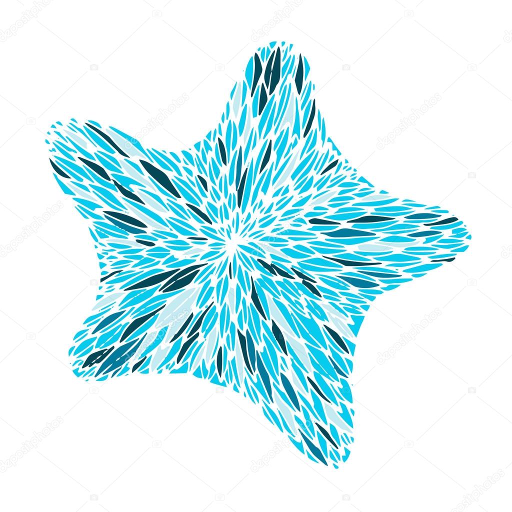 sea star in vector