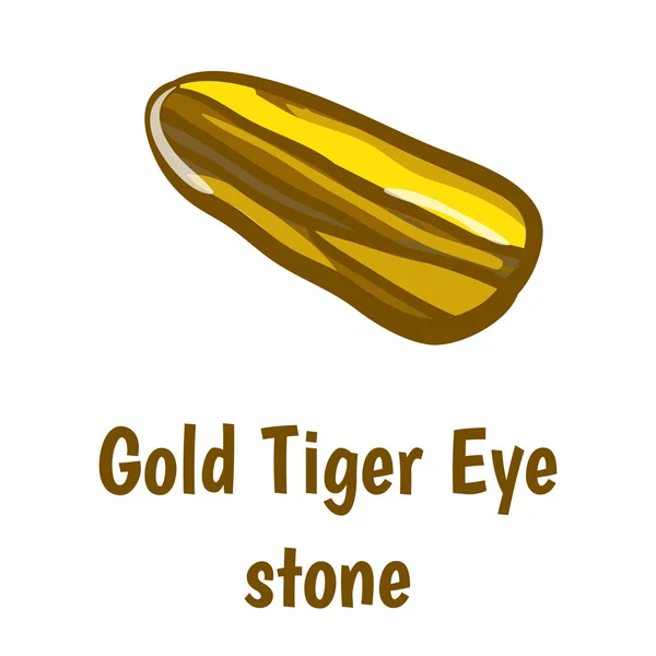 Gouden tiger eye steen — Stockvector