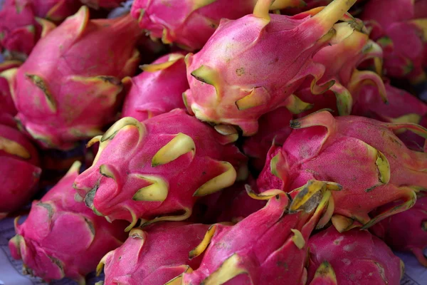 Los frutos de la fruta del dragón —  Fotos de Stock