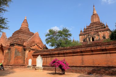 Myanmar 'daki Bagan tapınakları