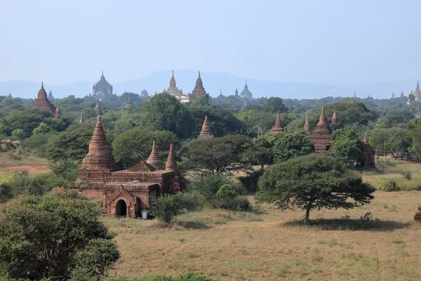 De tempels van bagan in myanmar — Stockfoto