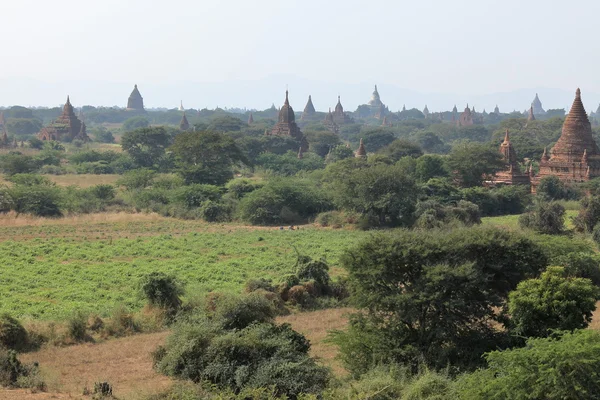 De tempels van bagan in myanmar — Stockfoto