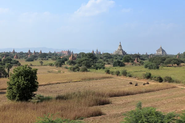 De tempels van bagan in myanmar — Stockfoto