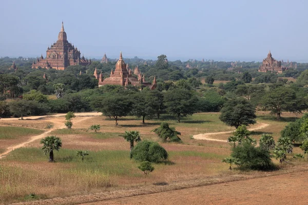 Храми багана в М "янмі. — стокове фото