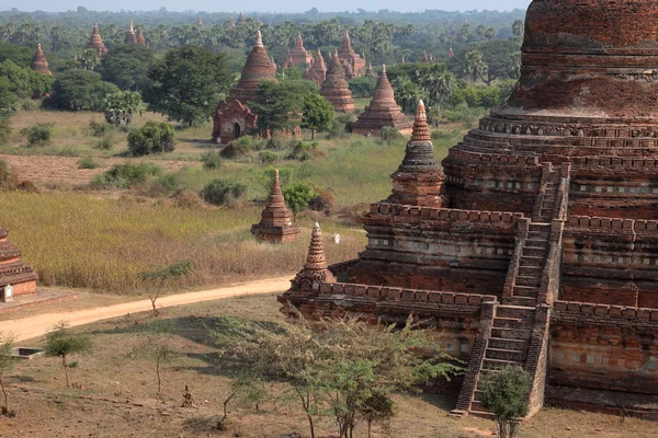 Tempel bagan i myanmar — Stockfoto