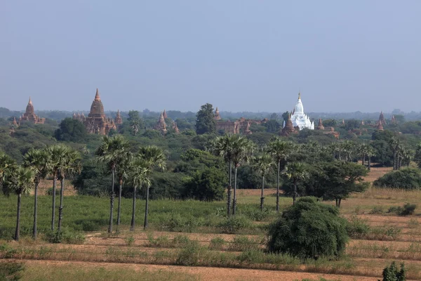 Chrámy Bagana v Myanmaru — Stock fotografie