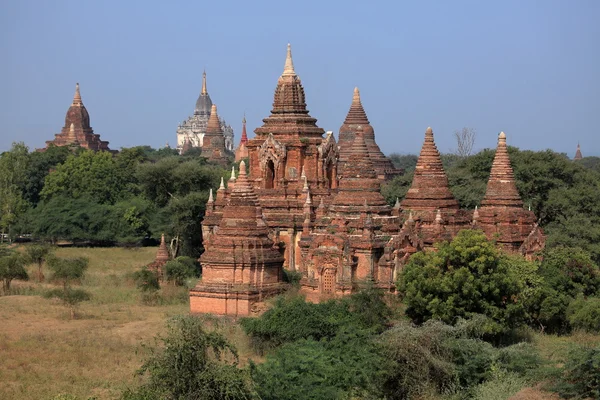 缅甸巴甘的庙宇 — 图库照片
