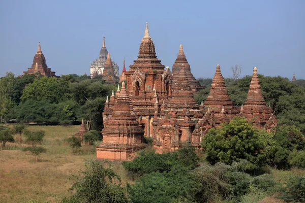 Tempel bagan i myanmar — Stockfoto