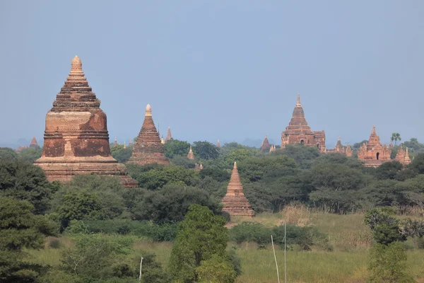 Myanmar 'daki Bagan tapınakları — Stok fotoğraf