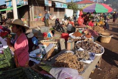 Myanmar, Kalaw haftalık Pazar 20 Aralık 2015