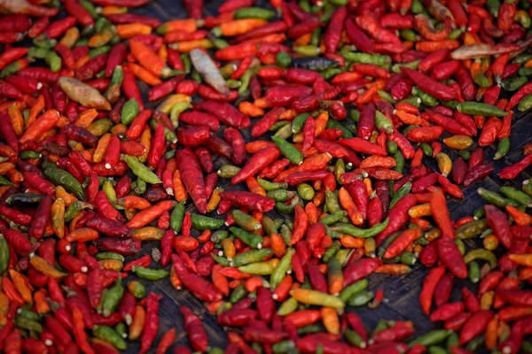 Zöld és piros hot chili — Stock Fotó