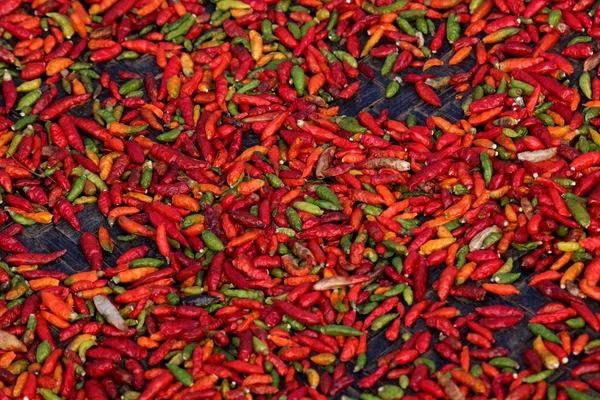 Zöld és piros hot chili — Stock Fotó