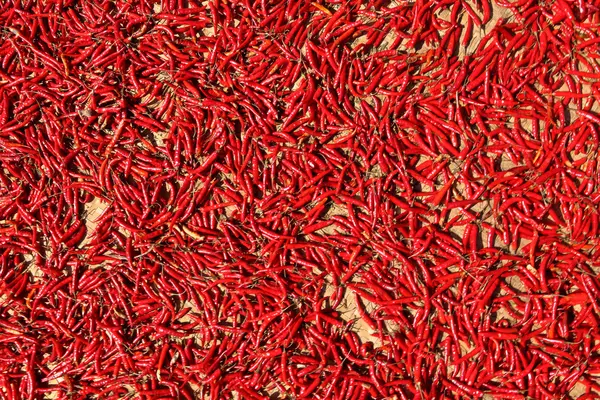 Red chillies como pano de fundo — Fotografia de Stock