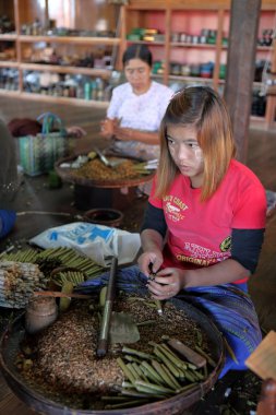 Puro üretiminde Myanmar, 22 Aralık 2015