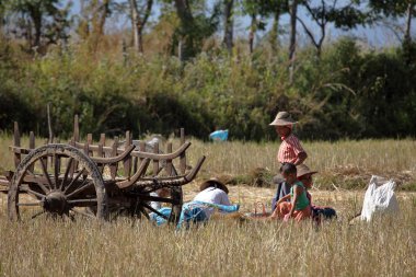 Tarım ve çiftçi Myanmar