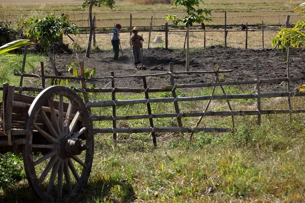 Agricultura y Agricultores en Myanmar — Foto de Stock