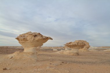 Mısır Sahrası 'ndaki Farafra' daki Beyaz Çöl.