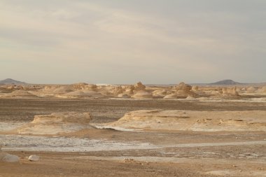 Mısır Sahrası 'ndaki Farafra' daki Beyaz Çöl.