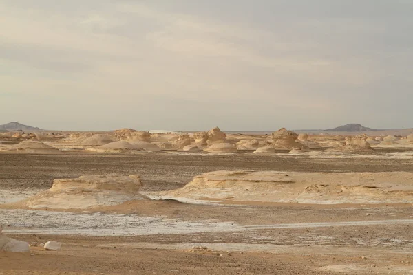 Mısır Sahrası 'ndaki Farafra' daki Beyaz Çöl.