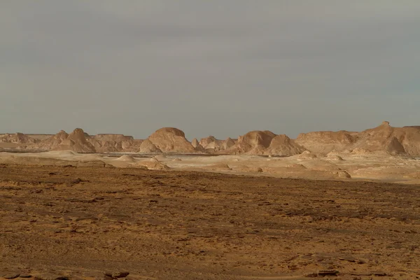 De Witte Woestijn bij Farafra in de Sahara van Egypte — Stockfoto