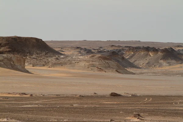 Mısır'ın Sahra siyah çöl