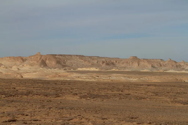 Mısır Sahrası 'ndaki Farafra' daki Beyaz Çöl.