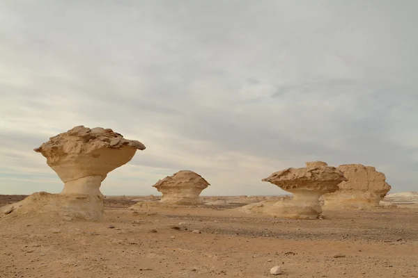 Bílá poušť ve Farafře v egyptské Sahaře — Stock fotografie