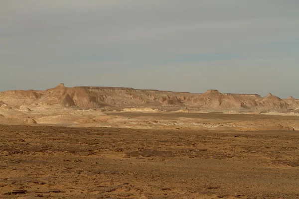 Mısır Sahrası 'ndaki Farafra' daki Beyaz Çöl.