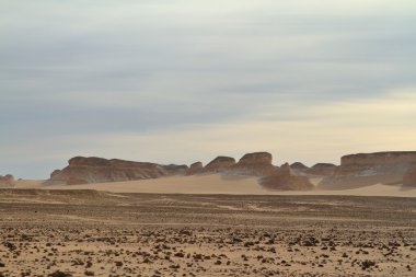 Mısır Sahrası 'ndaki Farafra' daki Beyaz Çöl.