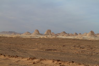 Mısır Sahrası 'ndaki Farafra' daki Beyaz Çöl.