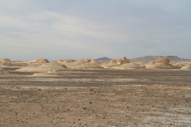 Mısır Sahrası 'ndaki Farafra' daki Beyaz Çöl.