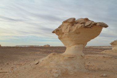 Mısır Sahrası 'ndaki Farafra' daki Beyaz Çöl.