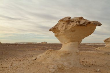 Mısır Sahrası 'ndaki Farafra' daki Beyaz Çöl.