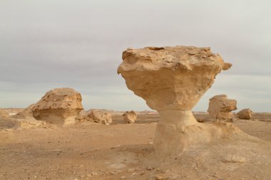 Mısır Sahrası 'ndaki Farafra' daki Beyaz Çöl.