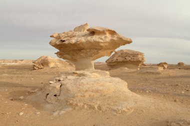 Mısır Sahrası 'ndaki Farafra' daki Beyaz Çöl.