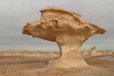 Mısır Sahrası 'ndaki Farafra' daki Beyaz Çöl.