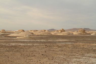 Mısır Sahrası 'ndaki Farafra' daki Beyaz Çöl.