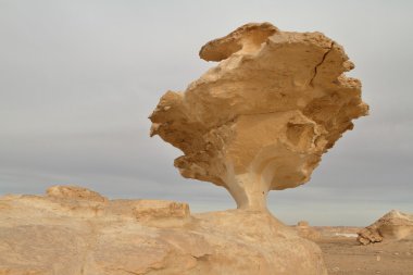 Mısır Sahrası 'ndaki Farafra' daki Beyaz Çöl.